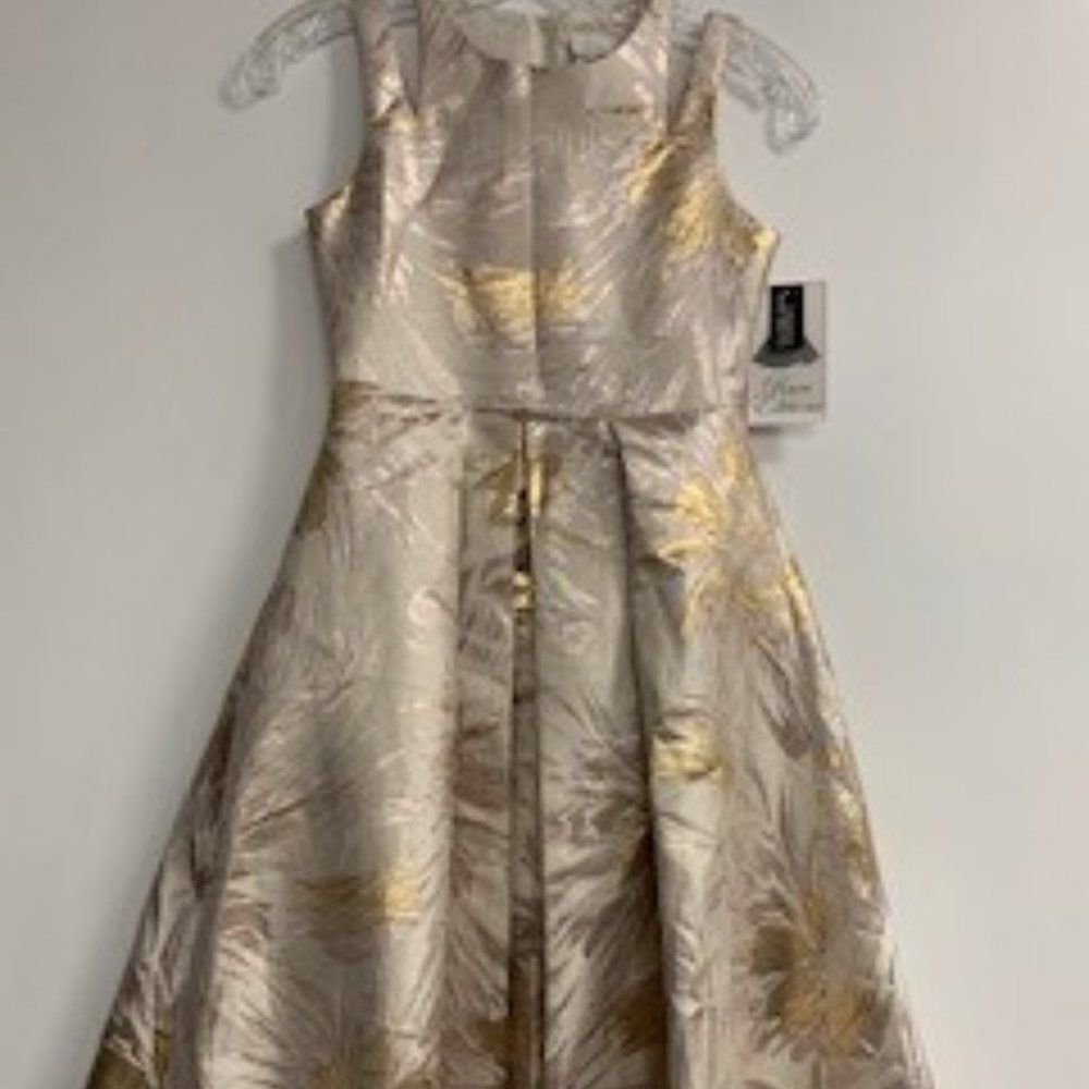 NWT: Rare Editions girl's formal dress